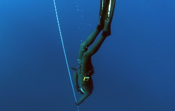 freediving-san-diego