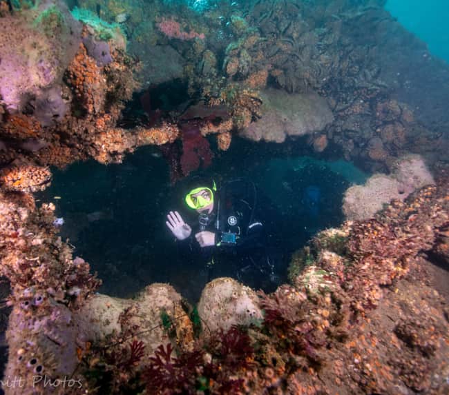 certification-scuba-diving certification-scuba-diving