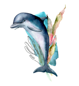 dolphin-jump dolphin-jump
