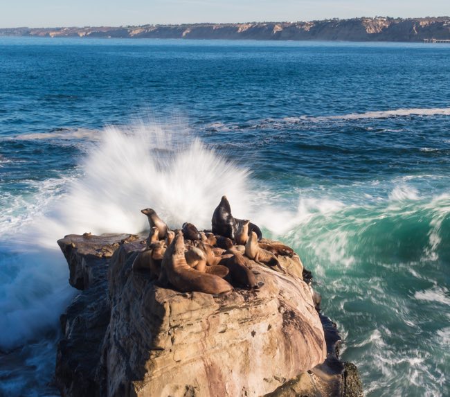 la-jolla-diving