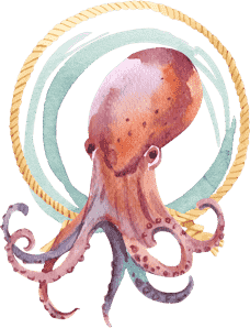 octopus-waterhorse-scuba-diving-san-diego