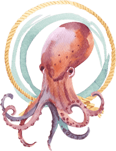 octopus-waterhorse-scuba-diving-san-diego octopus-waterhorse-scuba-diving-san-diego