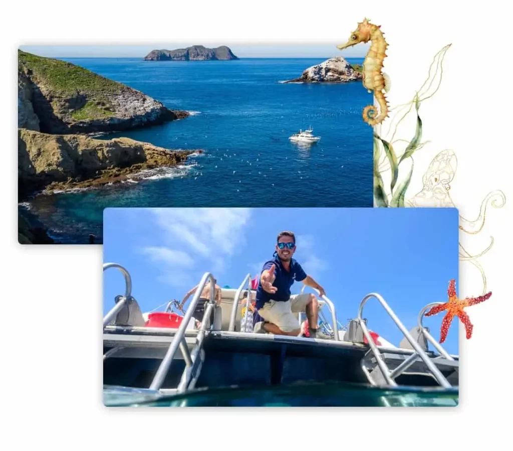san-diego-boat-charters-scuba-diving