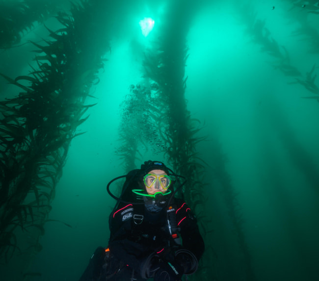 san-diego-deep-certification-scuba san-diego-deep-certification-scuba