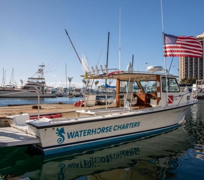 san-diego-freediving-boat san-diego-freediving-boat