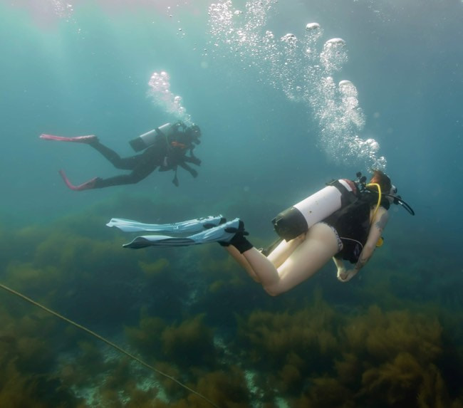 san-diego-scuba-diving-exposure-protection