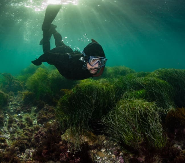 san-diego-snorkeling-tour