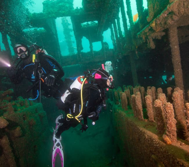 scuba-diving-certifications-guide scuba-diving-certifications-guide