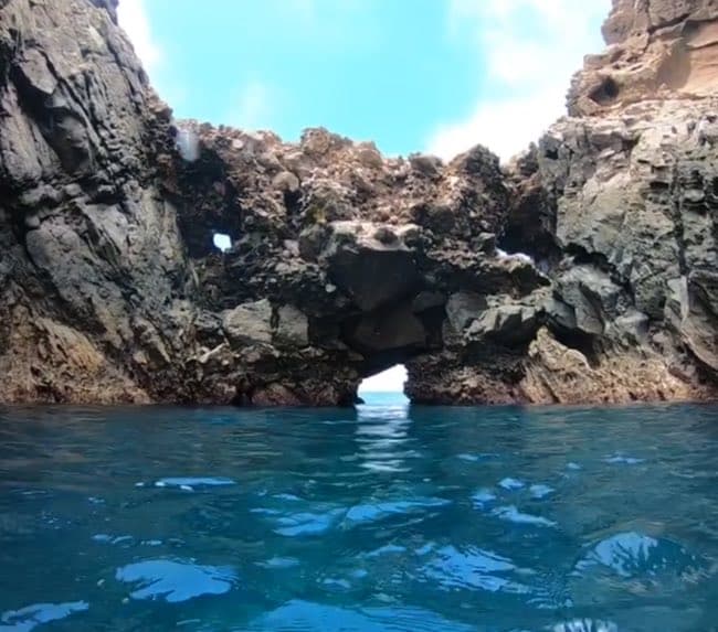 scuba-diving-coronado-islands scuba-diving-coronado-islands