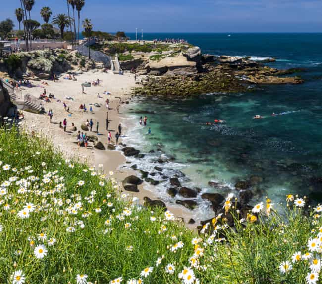 snorkeling-in-san-diego