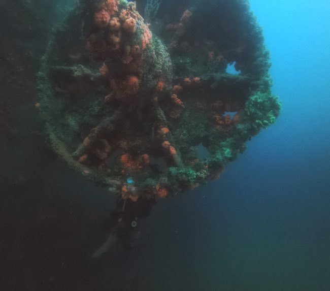 train-wheels-diving train-wheels-diving