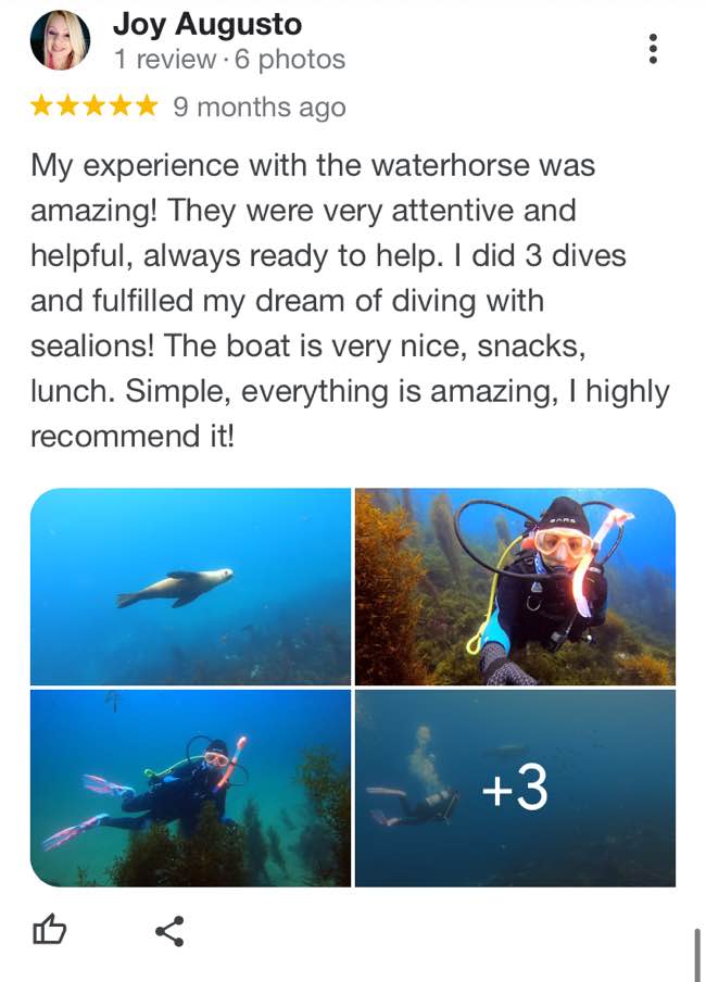 waterhorse-charters-google-review-11