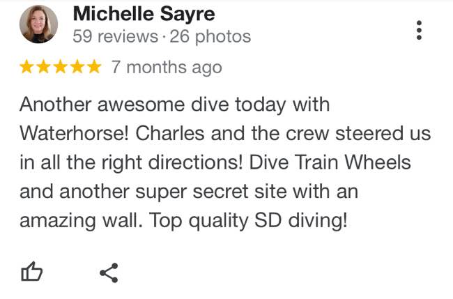 waterhorse-charters-google-review-18