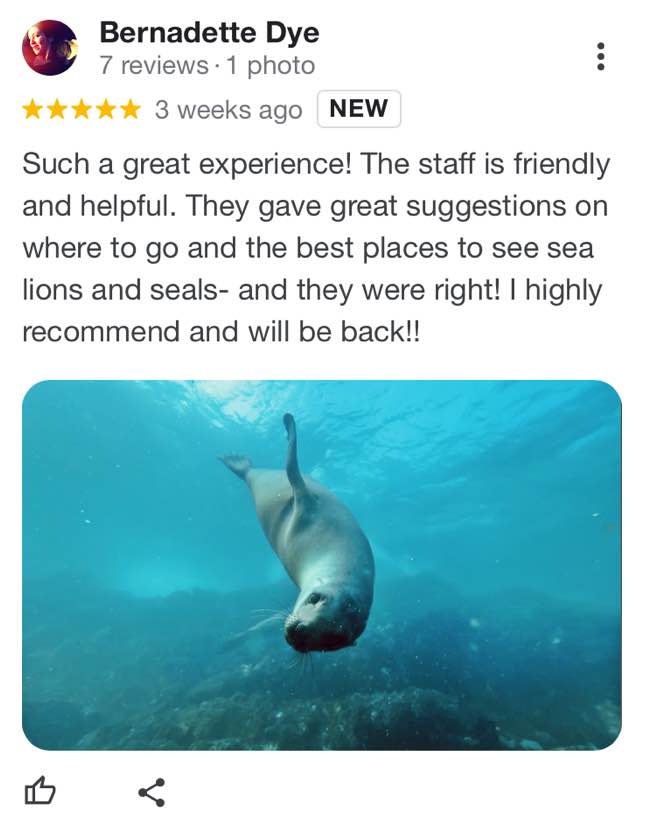 waterhorse-charters-google-review-19