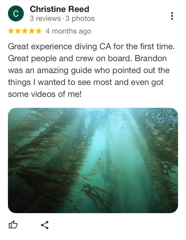 waterhorse-charters-google-review-5