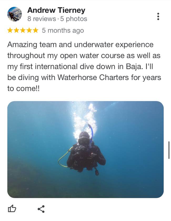 waterhorse-charters-google-review-9