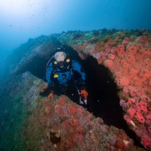 wreck-alley-san-diego